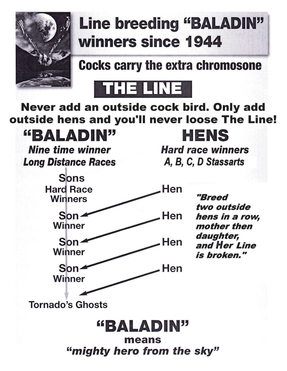Baladin Winners
