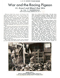 War and the Racing Pigeon page 1 of 2