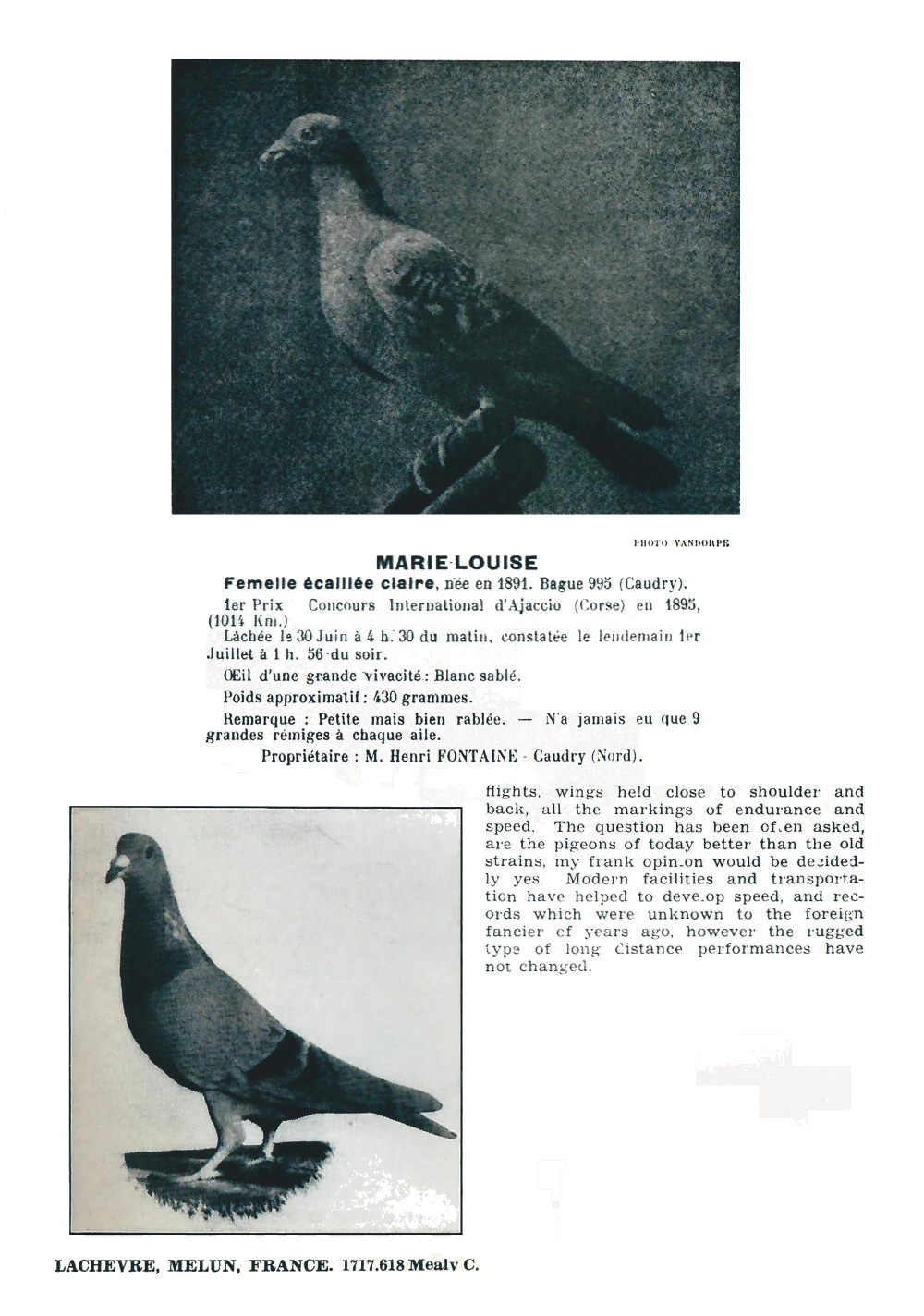 War and the Racing Pigeon page 2 of 2